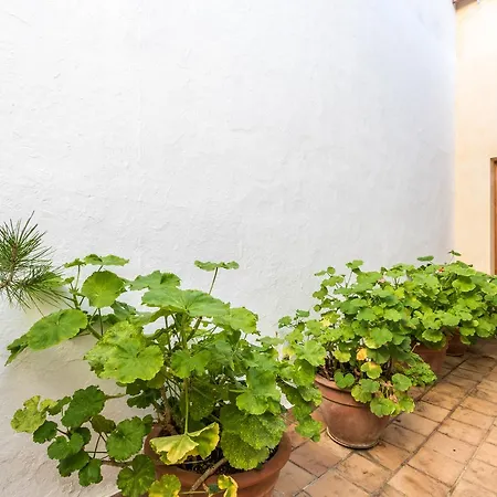 Holiday home Bewitched Granny'S House Pollenca